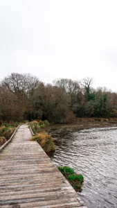 Perion Realisations Programmes Neufs Et Terrains A Batir Dans Le Grand Ouest Les Jardins Du Bourg BRECH 3