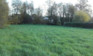 Perion Realisations Programmes Neufs Et Terrains A Batir Dans Le Grand Ouest 20191129 151119 Resized 1